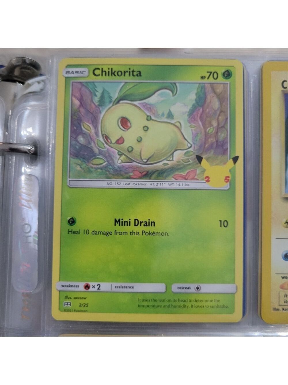 Pokemon Chikorita Card